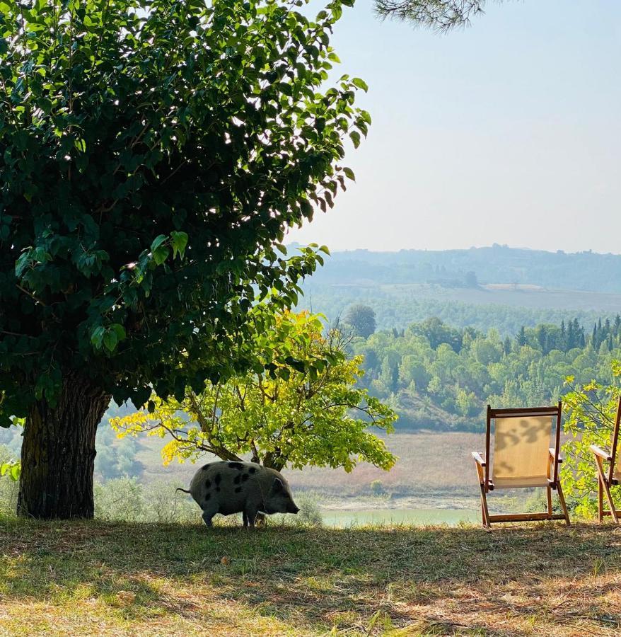 Agriturismo Sole Vila Trequanda Exterior foto