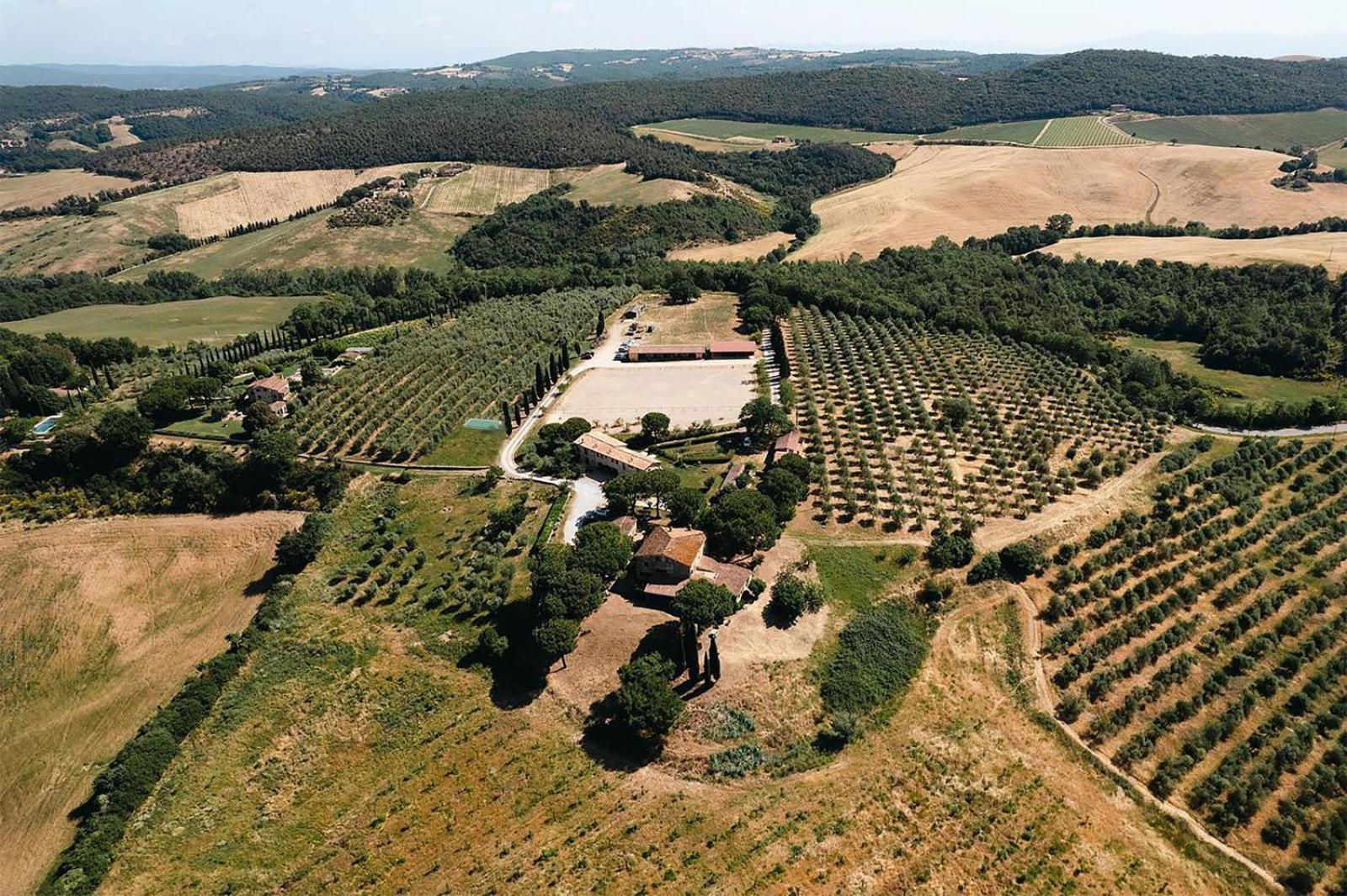 Agriturismo Sole Vila Trequanda Exterior foto